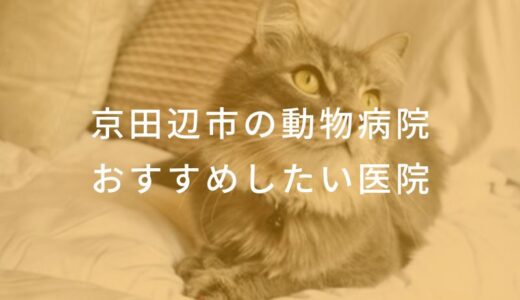 【2024年】京田辺市の動物病院 おすすめしたい5医院