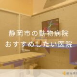 【2025年】静岡市の動物病院 おすすめしたい5医院