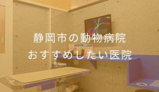 【2025年】静岡市の動物病院 おすすめしたい5医院