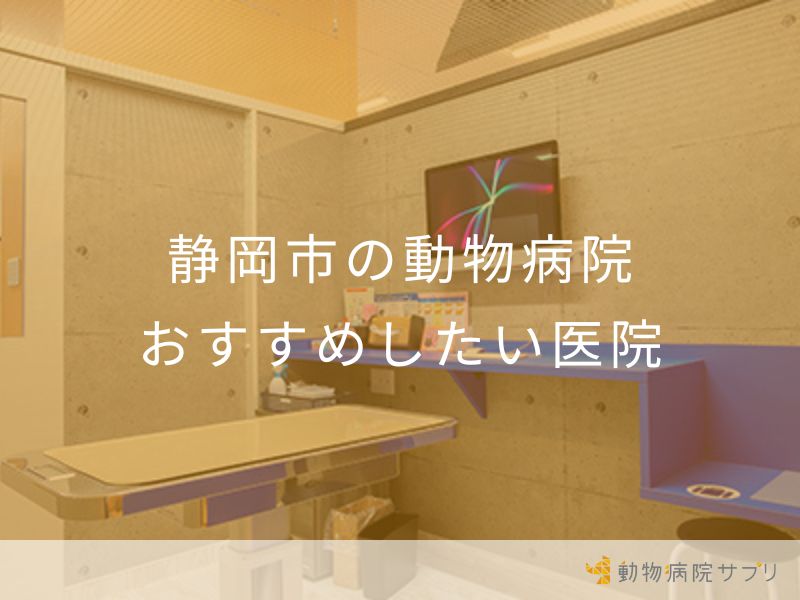 静岡市の動物病院 おすすめしたい医院