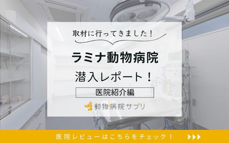 ラミナ動物病院