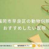 福岡市早良区の動物病院 おすすめしたい医院