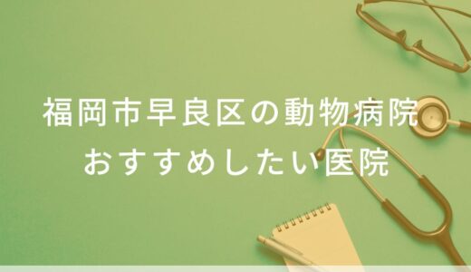 【2025年】福岡市早良区の動物病院 おすすめしたい3医院