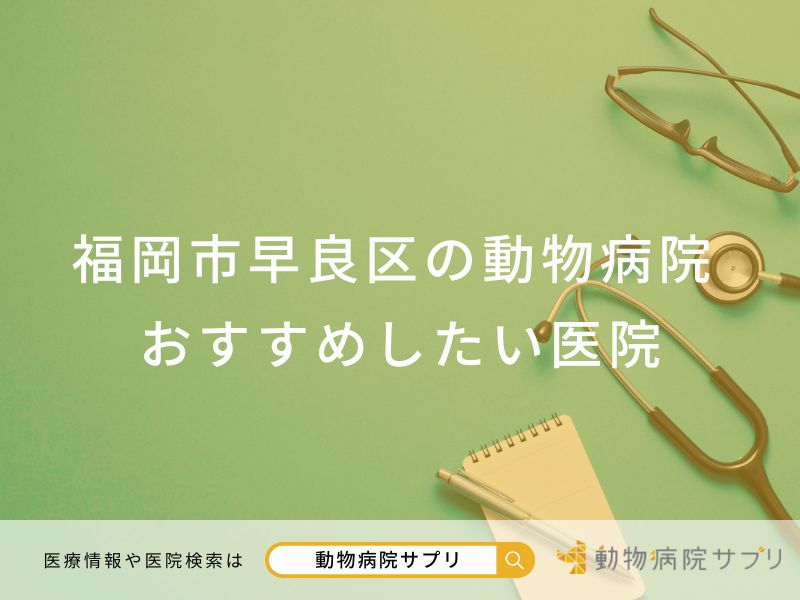 福岡市早良区の動物病院 おすすめしたい医院