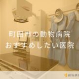 町田市の動物病院 おすすめしたい医院