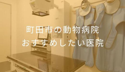 【2026年】町田市の動物病院 おすすめしたい６医院