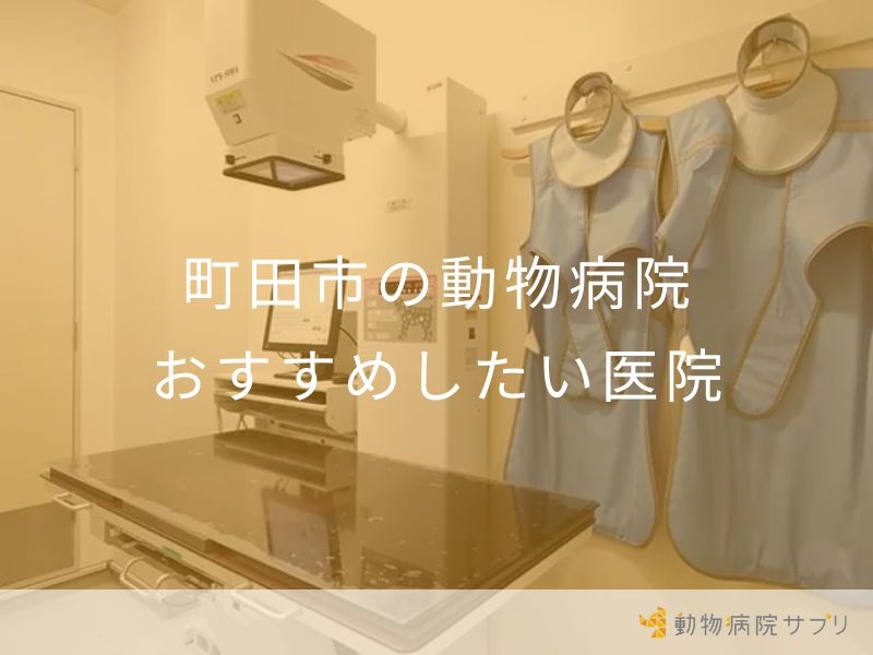 町田市の動物病院 おすすめしたい医院