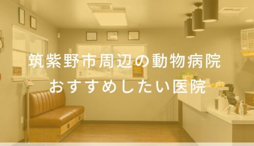 【2025年】筑紫野市周辺の動物病院 おすすめしたい7医院