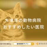 大津市の動物病院 おすすめしたい医院