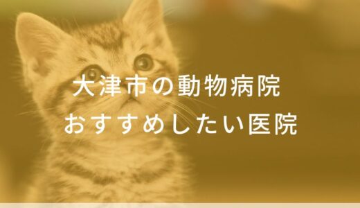 【2025年】大津市の動物病院 おすすめしたい7医院