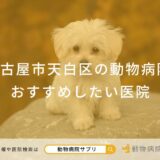 名古屋市天白区の動物病院 おすすめしたい医院