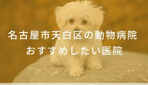 【2025年】名古屋市天白区の動物病院 おすすめしたい4医院
