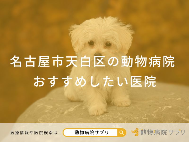 名古屋市天白区の動物病院 おすすめしたい医院