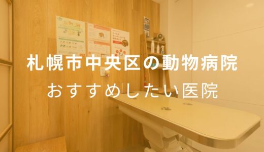 【2024年】札幌市中央区の動物病院 おすすめしたい7医院
