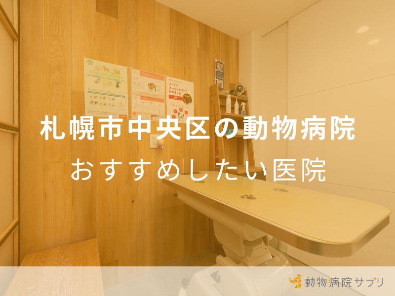 札幌市中央区の動物病院 おすすめしたい医院