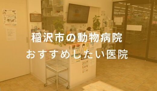 【2024年】稲沢市の動物病院 おすすめしたい6医院