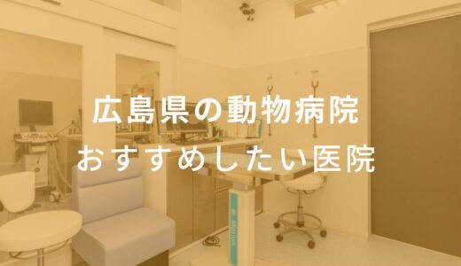 【2024年】広島県の動物病院 おすすめしたい6医院