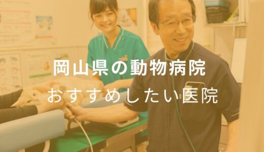 【2024年】岡山県の動物病院 おすすめしたい6医院