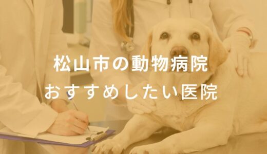 【2024年】松山市の動物病院 おすすめしたい5医院