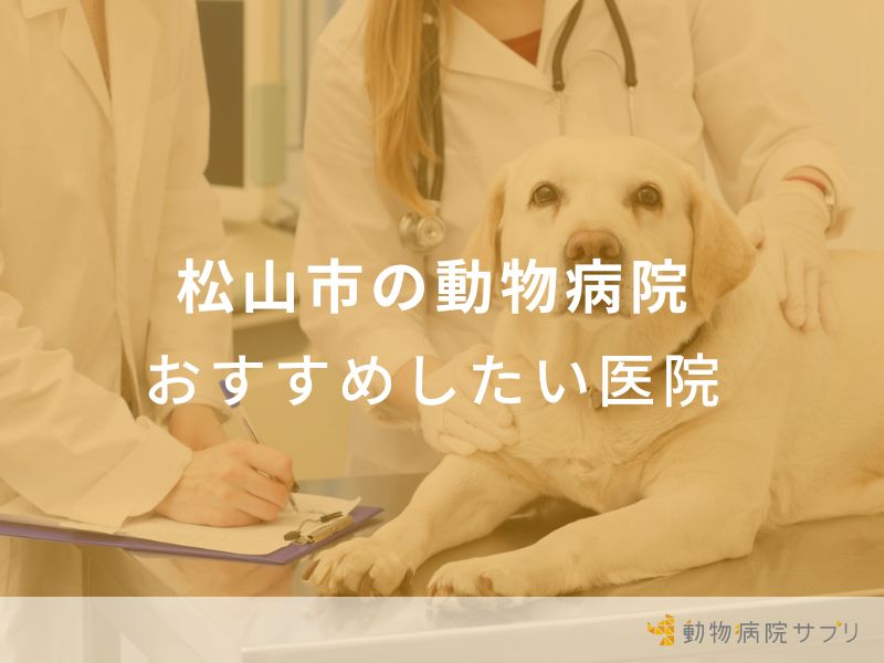 松山市の動物病院 おすすめしたい医院