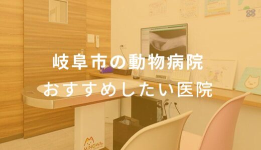 【2024年】岐阜市の動物病院 おすすめしたい6医院