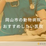 岡山市の動物病院 おすすめしたい医院