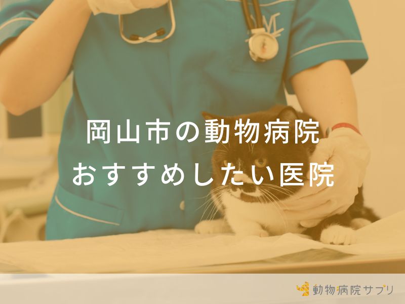 岡山市の動物病院 おすすめしたい医院