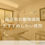【2025年】稲沢市の動物病院 おすすめしたい6医院