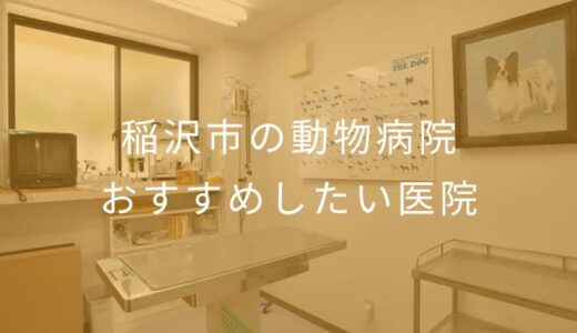 【2025年】稲沢市の動物病院 おすすめしたい6医院