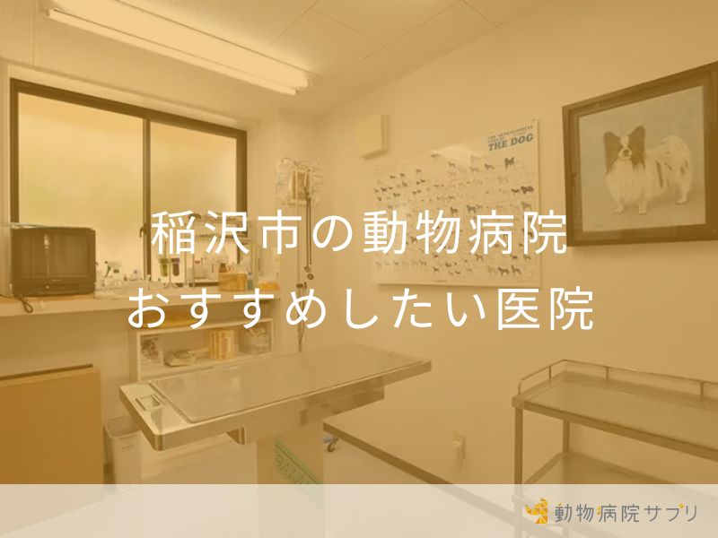 稲沢市の動物病院 おすすめしたい医院