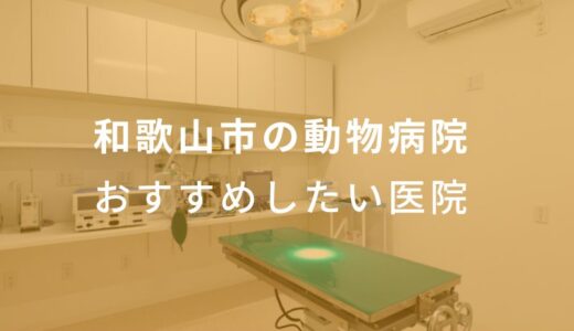 【2024年】和歌山市の動物病院 おすすめしたい6医院