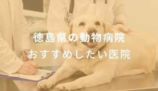 【2024年】徳島県の動物病院 おすすめしたい6医院