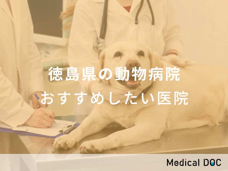 徳島県の動物病院 おすすめしたい医院
