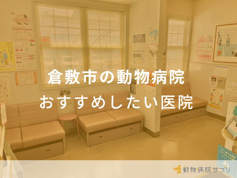 倉敷市の動物病院 おすすめしたい医院