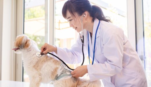 犬の便秘の原因とは？症状や対処法、動物病院での治療方法について解説！