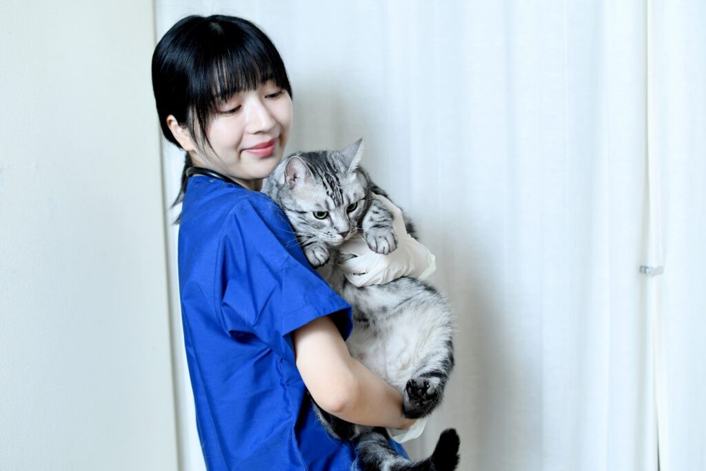 女性獣医 猫