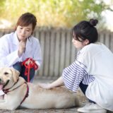 犬のアレルギー性皮膚炎（アトピー性皮膚炎） | 検査方法・治療法・病院に行く目安を解説