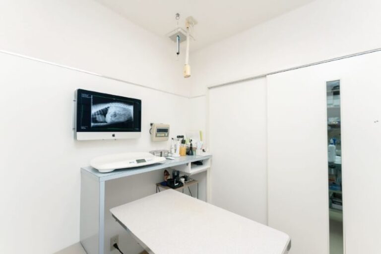 はしもと吹田アニマルクリニック