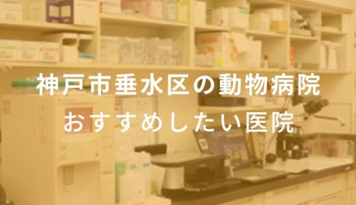 【2024年】神戸市垂水区の動物病院 おすすめしたい5医院