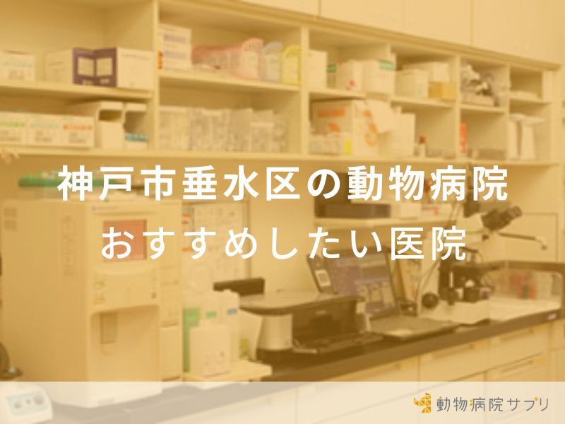神戸市垂水区の動物病院 おすすめしたい医院