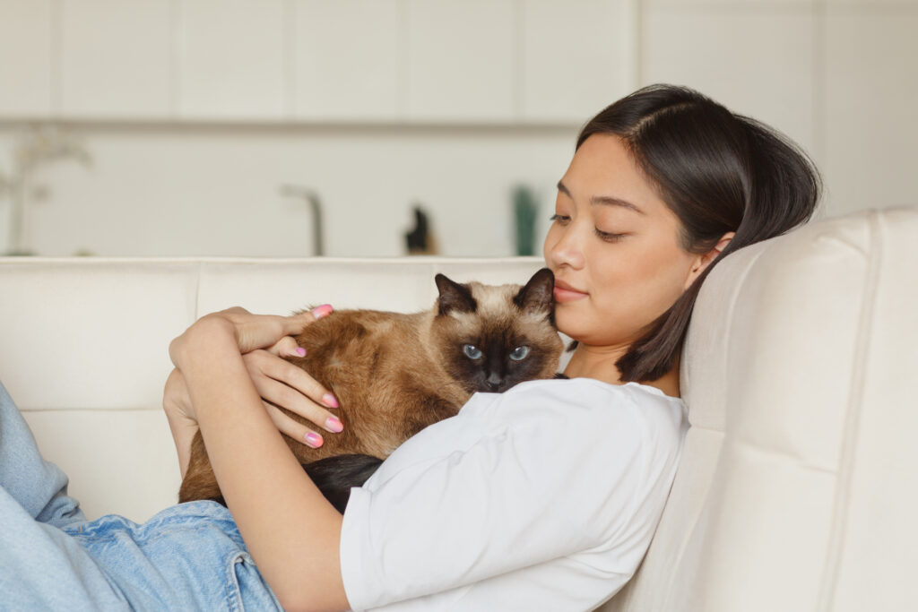 ソファで猫を抱く女性