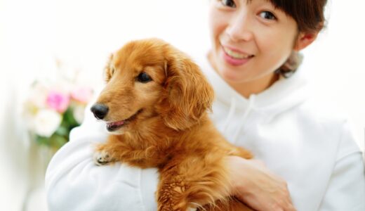 犬の中耳炎とはどのような病気？原因・症状・治療法・予防法を解説