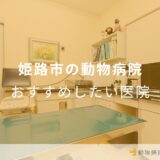 【2024年】姫路市の動物病院 おすすめしたい5医院