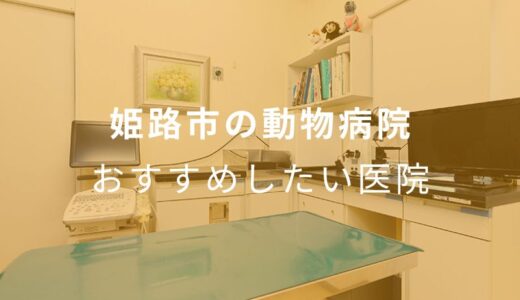 【2024年】姫路市の動物病院 おすすめしたい5医院