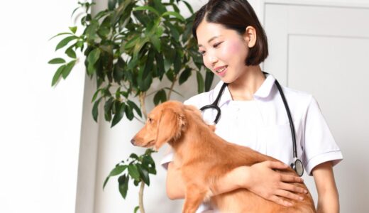 犬の中毒症状｜原因や誤食などの対処法も解説