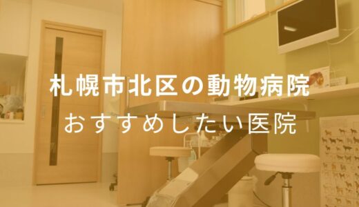 【2024年】札幌市北区の動物病院 おすすめしたい5医院