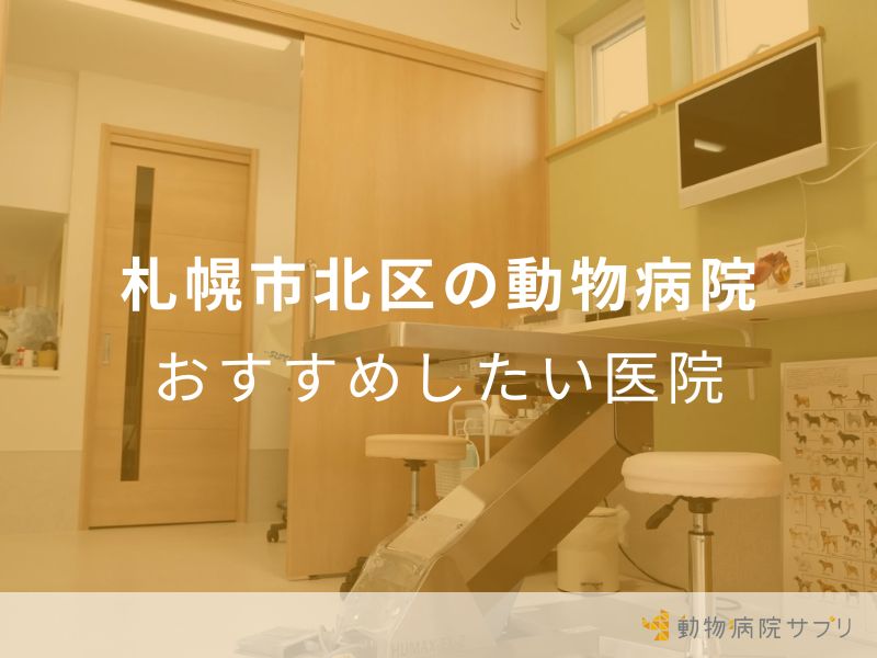 札幌市北区の動物病院おすすめしたい医院