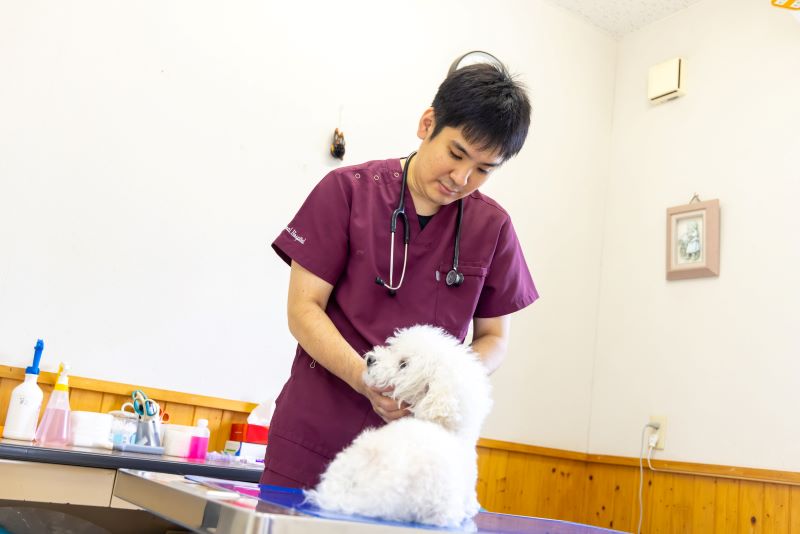 だて動物病院