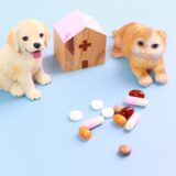 犬が薬を飲まない理由とは？薬の飲ませ方や薬を飲まないときの注意点について解説！