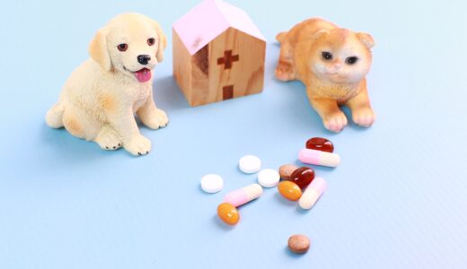犬が薬を飲まない理由とは？薬の飲ませ方や薬を飲まないときの注意点について解説！